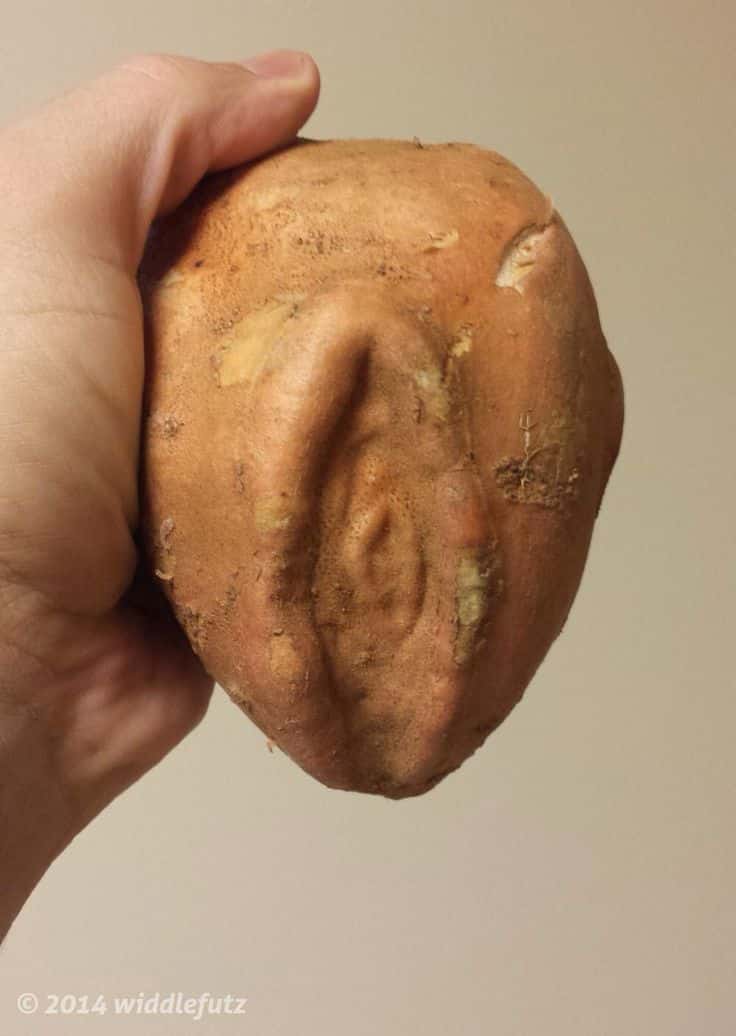 Potato Pussy 3