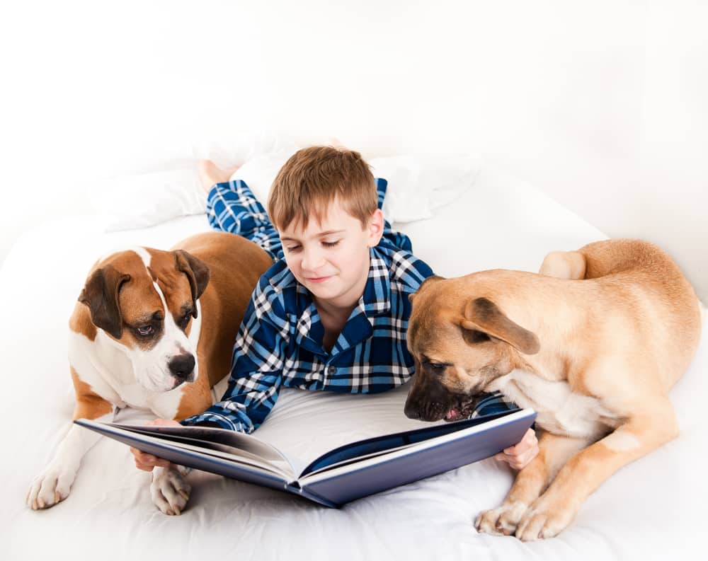 5 Reasons To Get Your Kid A Pet