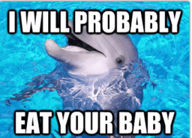 Woman Wants To Give Birth With Dolphins 
