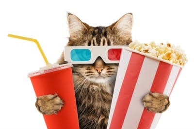 cat with 3D glasses soda and popcorn