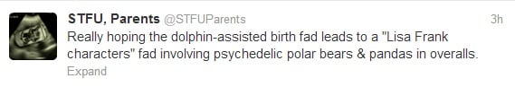 dolphin assisted birth STFU Parents