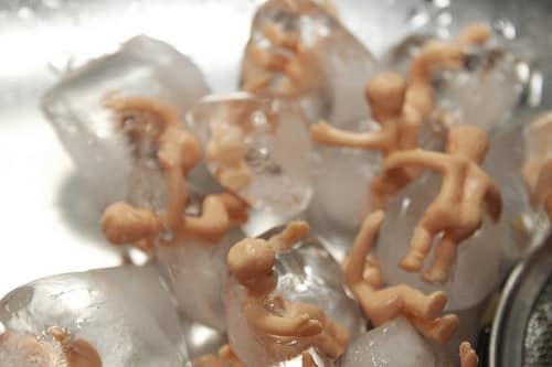 frozen sperm