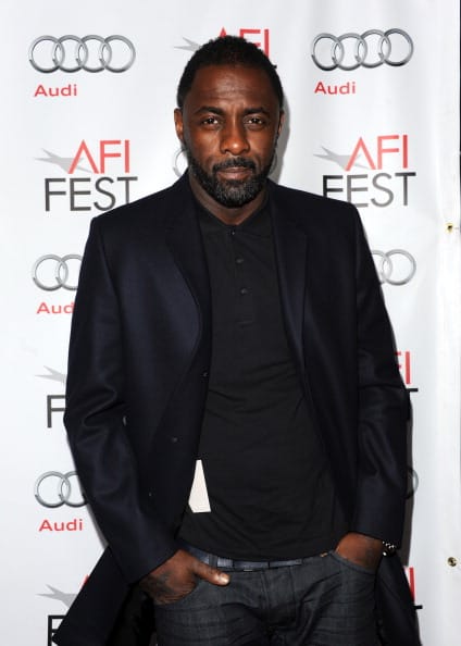 AFI FEST 2013 Presented By Audi Premiere Of The Weinstein Company's "Mandela: Long Walk To Freedom" - Arrivals