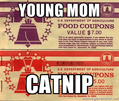 young mom assumptions food stamps