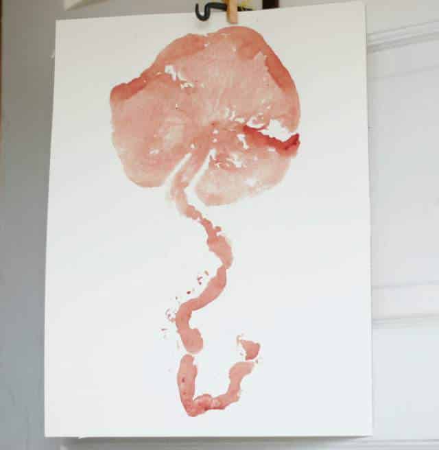 placenta print
