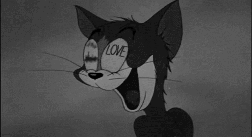 love tom and jerry gif