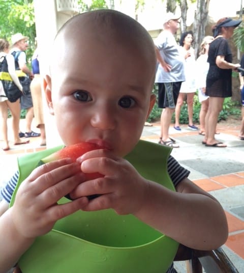 Max eating Watermelon
