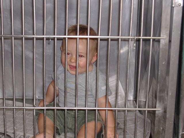 baby in a cage