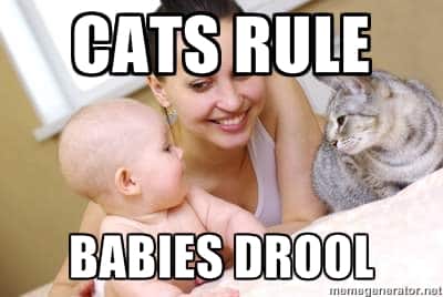 cats rule babies drool