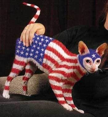 patriotic-pets