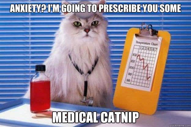 cat doctor meme medical catnip
