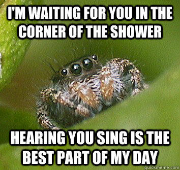 misunderstood spider in shower