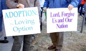 anti-abortion protest signs