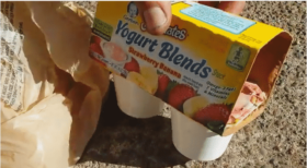 gerber-yogurt-and-maggots