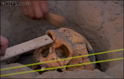 archaeologist-smashes-skull-gif
