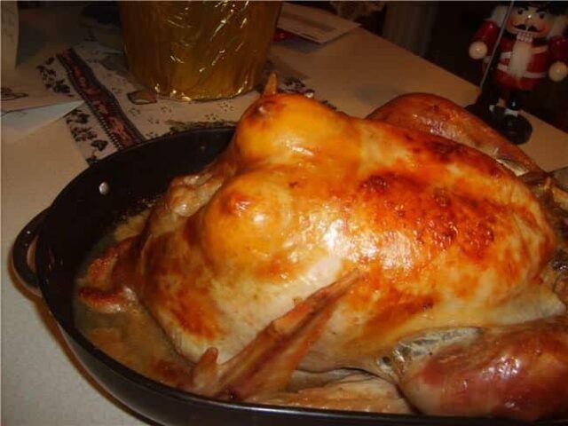 boob-turkey
