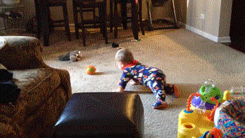 bad dog steals baby ball