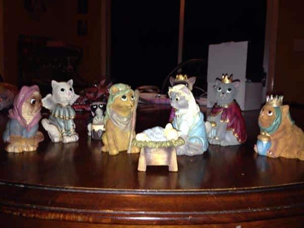 cat nativity scene