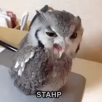 owl stop