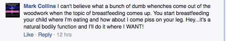 virginia breastfeeding 17