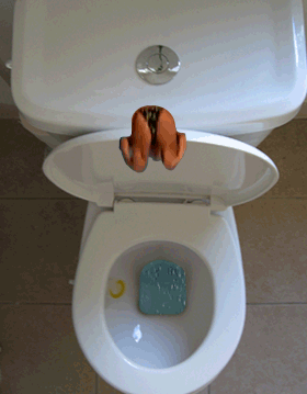 diving into toilet