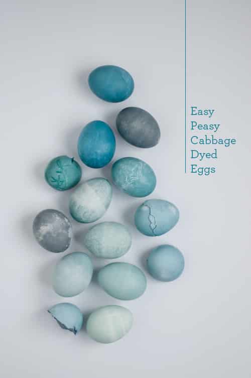 cabbage dyed eggs