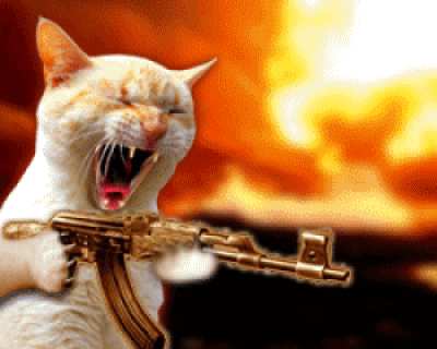 angry-cat-shooting-gun