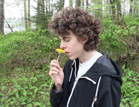 smelling-eating-flower-gif