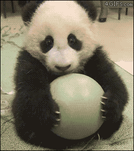 panda won't share