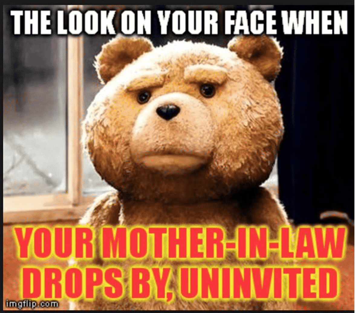 9 Hilarious Mother-in-Law Memes You'll Love if You Have a Monster-in-Law –  Mommyish