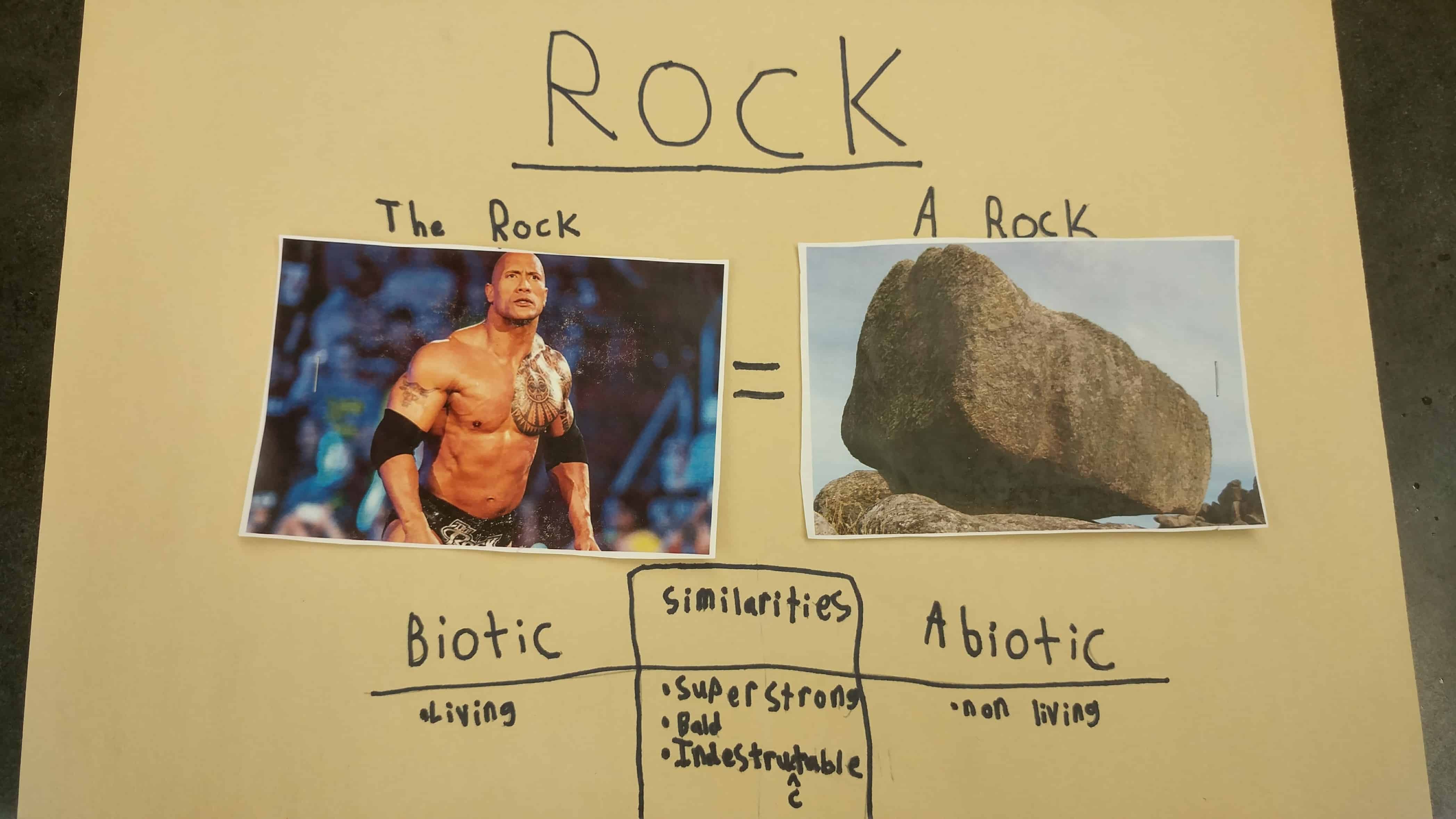 dwayne the rock johnson