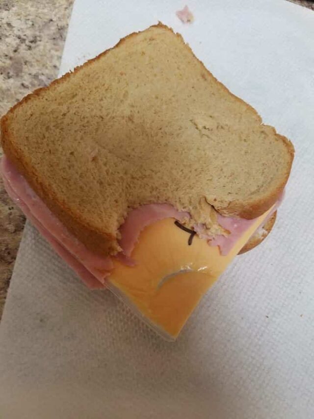 don't insult the sandwich maker