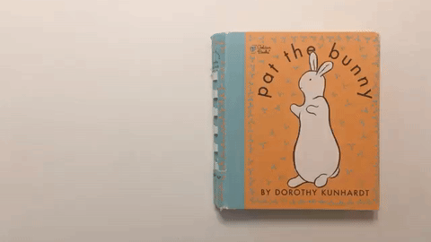 Classic Children's Books Pat the Bunny