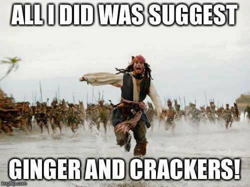 ginger and crackers