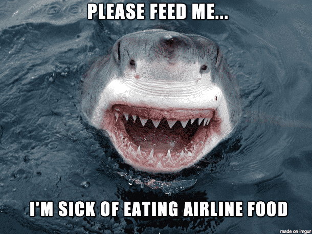 shark meme