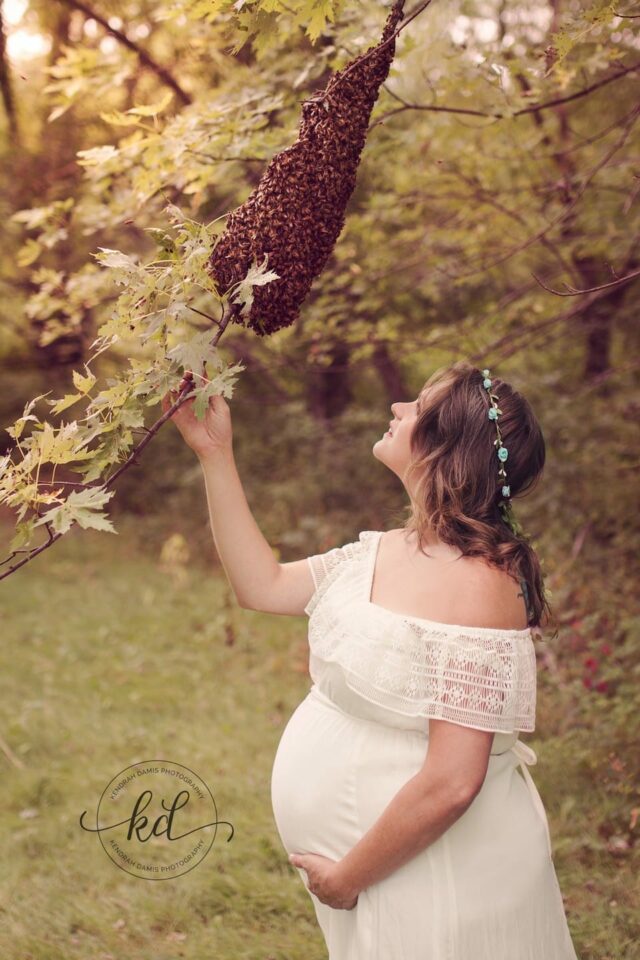 Maternity Shoot Honey Bees