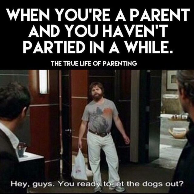 parenting memes let the dogs out