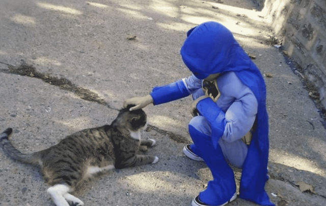 superhero cat rescue