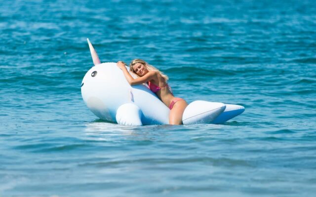 narwhal pool float