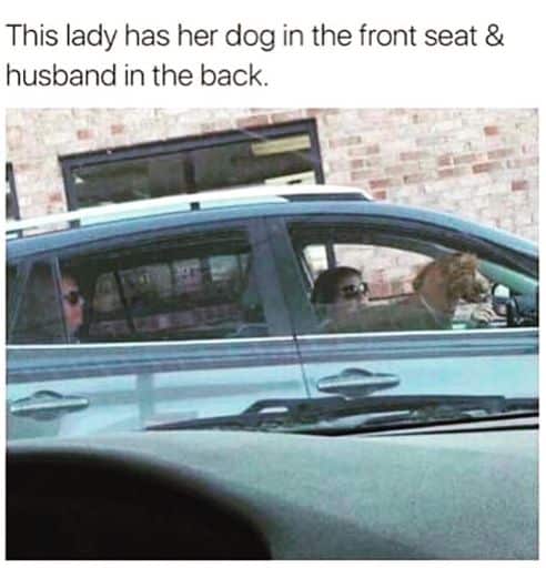 dog, husband, car