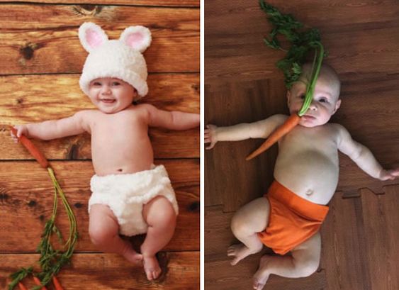 babies, bunny, carrot