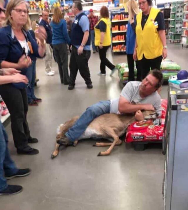 Bizarre Photo, Walmart