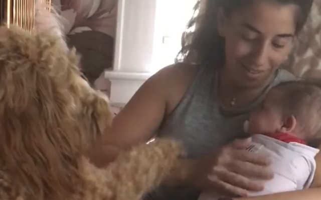 Viral Video Shows New Mom Juggling Jealous Dog and five-month old newborn baby