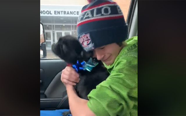 Boy reunited lost dog Viral Video still