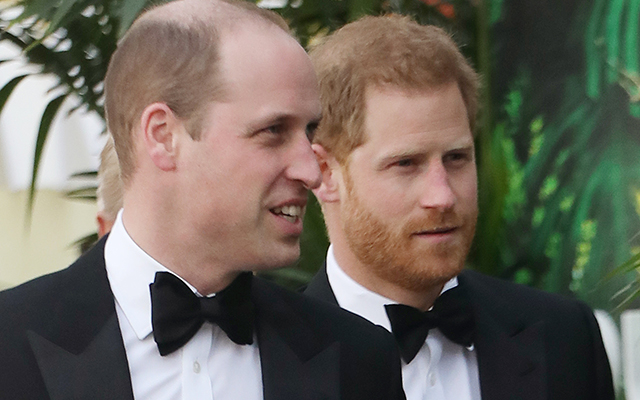 Prince Harry Prince William not on good terms since Harry Meghan Markle stepped back UK duties